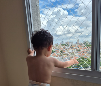 Image Blog Vidal's Proteções
