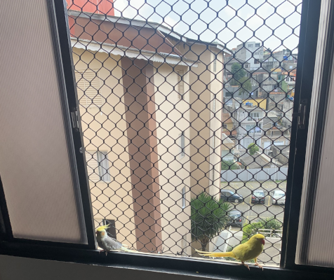 redes de proteção para Pets