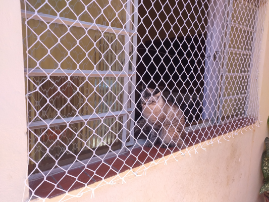 redes de proteção para Pets